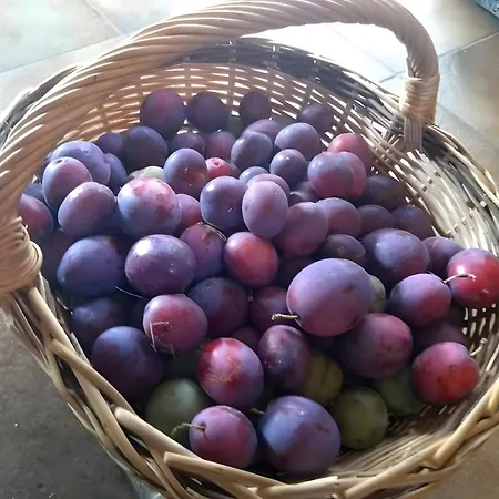 Domaine Oustau Cassou * Sevignacq
